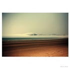 dailyPhoto11